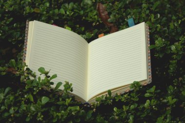 Çimenler üzerine açık kitap