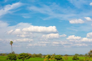 Güzel mavi gökyüzü ve çayırlı bulut, ağaç. Yaz için manzara. Tatil için en iyi manzara..