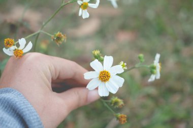 Kadının elinde küçük beyaz bir çiçek.