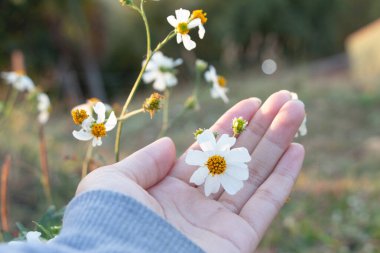 Kadının elinde küçük beyaz bir çiçek.