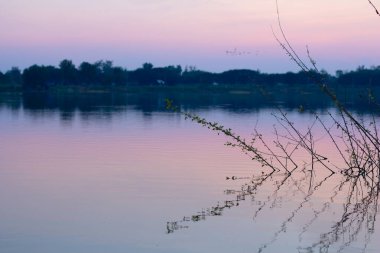Günbatımında alacakaranlık vanilya gökyüzü ve su üzerinde ağaç yansıması. 