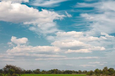 Güzel mavi gökyüzü ve çayırlı bulut, ağaç. Yaz için manzara. Tatil için en iyi manzara.