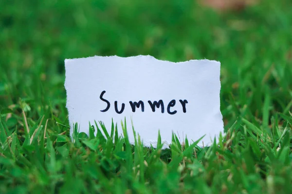 Summer Note Grass — Stock Photo, Image