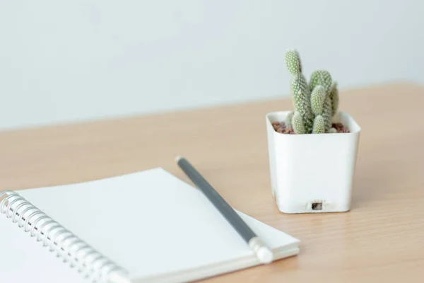 Cuaderno Blanco Con Bolígrafo Maceta Blanca Cactus Sobre Mesa Madera —  Fotos de Stock