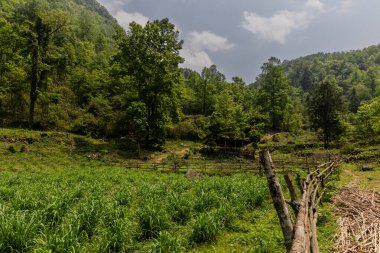 Karst landscape in Libo County, Guizhou, China