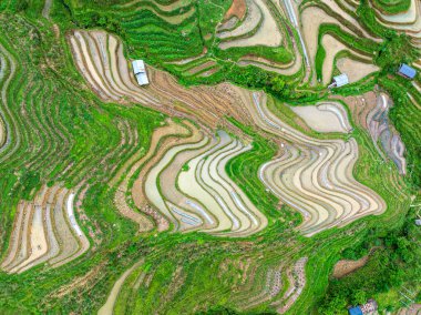 Miao terraced fields in Congjiang County, Guizhou, China