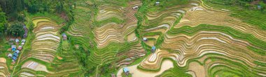Miao terraced fields in Congjiang County, Guizhou, China