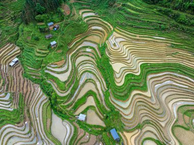 Miao Village Scenery in Libo, Guizhou, China