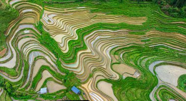 Miao Village Scenery in Libo, Guizhou, China