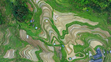 Miao Village Scenery in Libo, Guizhou, China
