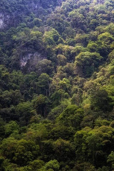 Karst landscape in Libo County, Guizhou, China