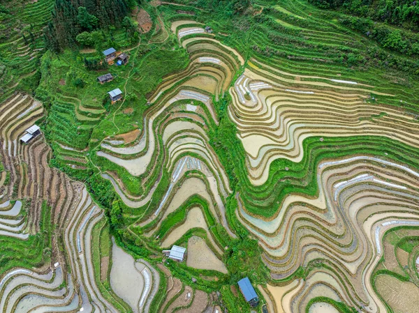 Miao Village Scenery in Libo, Guizhou, China
