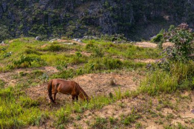 Karst landscape of Daxiaojing and Xiaojing in Luodian County, Guizhou, China