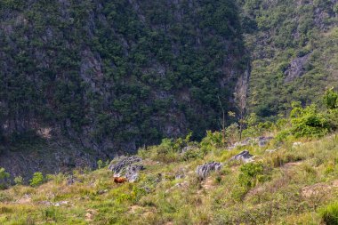 Karst landscape of Daxiaojing and Xiaojing in Luodian County, Guizhou, China