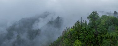 Dushan County, Guizhou, Çin 'deki Karst manzarası
