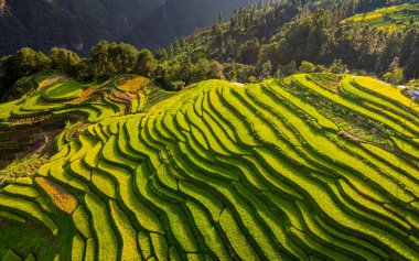 Qiannan Bölgesi, Guizhou, Çin 'in çeşitli bölgelerindeki güzel karst manzarasının hava görüntüsü.