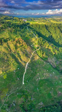 Qiannan Bölgesi, Guizhou, Çin 'in çeşitli bölgelerindeki güzel karst manzarasının hava görüntüsü.