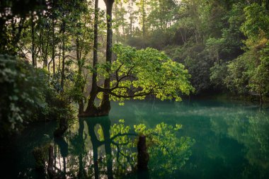 Libo, Guizhou, Çin 'deki antik köy manzarası