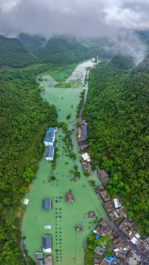 Maolan Güney Karst Doğa Koruma Alanı Libo County, Guizhou, Çin