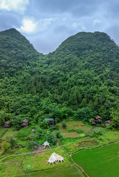 Maolan Güney Karst Doğa Koruma Alanı Libo County, Guizhou, Çin
