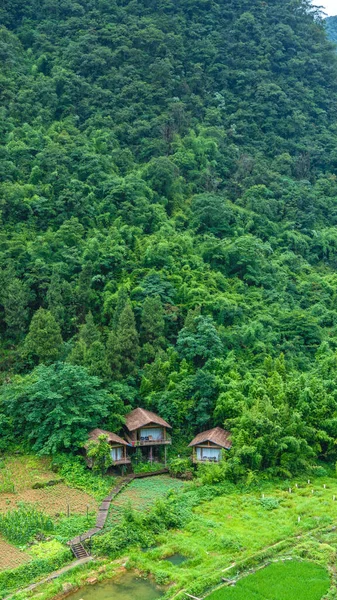 Maolan Güney Karst Doğa Koruma Alanı Libo County, Guizhou, Çin