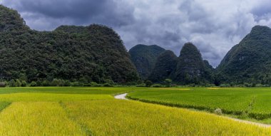 Dushan İlçesi, Qiannan Bölgesi, Guizhou, Çin 'deki karst kırsal tepeli küme arazisinde dağ zirveleri ile iç içe geçmiş pirinç tarlaları yer alıyor..