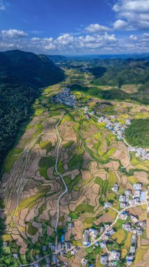 Dushan İlçesi, Qiannan Bölgesi, Guizhou, Çin 'deki karst kırsal tepeli küme arazisinde dağ zirveleri ile iç içe geçmiş pirinç tarlaları yer alıyor..