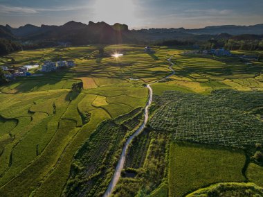 Dushan İlçesi, Qiannan Bölgesi, Guizhou, Çin 'deki karst kırsal tepeli küme arazisinde dağ zirveleri ile iç içe geçmiş pirinç tarlaları yer alıyor..