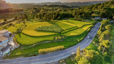Dushan İlçesi, Qiannan Bölgesi, Guizhou, Çin 'deki karst kırsal tepeli küme arazisinde dağ zirveleri ile iç içe geçmiş pirinç tarlaları yer alıyor..