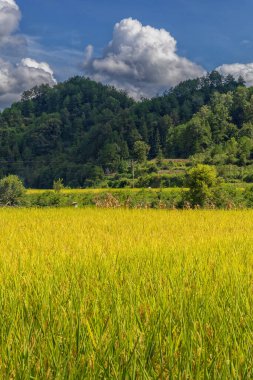 Dushan İlçesi, Qiannan Bölgesi, Guizhou Eyaleti, Çin 'deki Karst kırsal zirve kümesi arazisi akşam saatlerinde dağ sırasının hava görüntüsü.