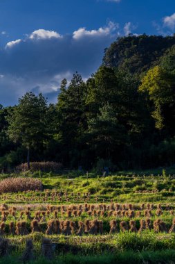 Dushan İlçesi, Qiannan Bölgesi, Guizhou Eyaleti, Çin 'deki Karst kırsal zirve kümesi arazisi akşam saatlerinde dağ sırasının hava görüntüsü.