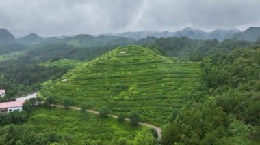 Libo County, Guizhou, Çin 'deki kırsal manzaranın hızlandırılmış görüntüleri