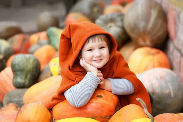 A small/ little child girl in an orange cloak / poncho with a dwarf long hood on a pile / slide of colorful pumpkins. Bright autumn picture, harvest, thanksgiving