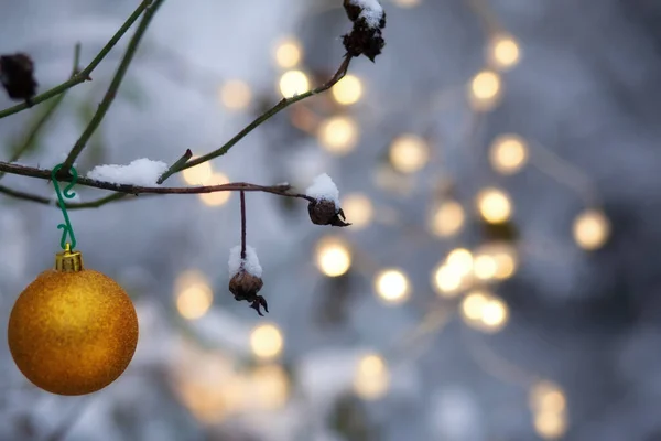 Χρυσή Χριστουγεννιάτικη Μπάλα Ένα Χιονισμένο Κλαδί Ενός Άγριου Τριαντάφυλλου Φόντο — Φωτογραφία Αρχείου