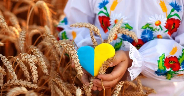 Жовте Синє Серце Шпилети Пшениці Руках Дитини Вишитій Сорочці Вишиванка — стокове фото