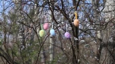 Pussy willow branches decorated with colorful Easter eggs sway in the wind. Happy easter. Home and landscape decor concept 