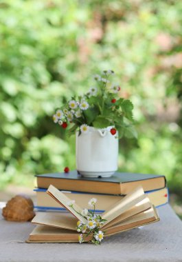 Çaydanlıktaki bir çilek çalısı ve bahçedeki bir masanın üzerindeki bir yığın kitabın üzerindeki bir buket papatya. Yaz Tatili ve Rahatlama