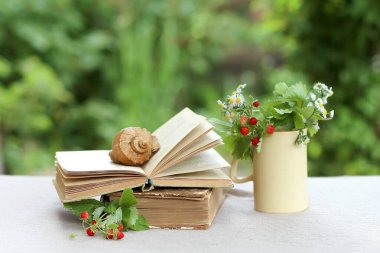 Çaydanlıktaki bir çilek çalısı ve bahçedeki bir masanın üzerindeki bir yığın kitabın üzerindeki bir buket papatya. Yaz Tatili ve Rahatlama