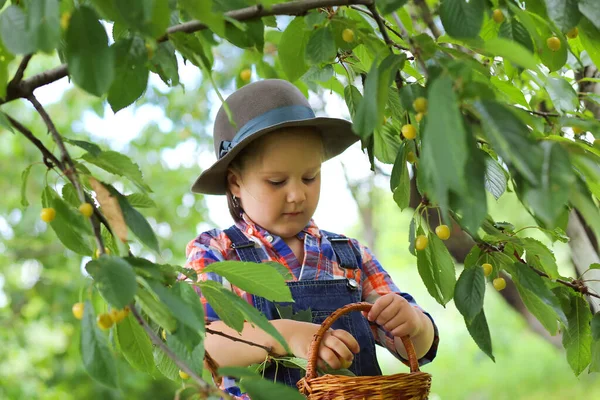 Pequeño Agricultor Niño Lindo Feliz Niña Una Camisa Cuadros Overoles — Foto de Stock