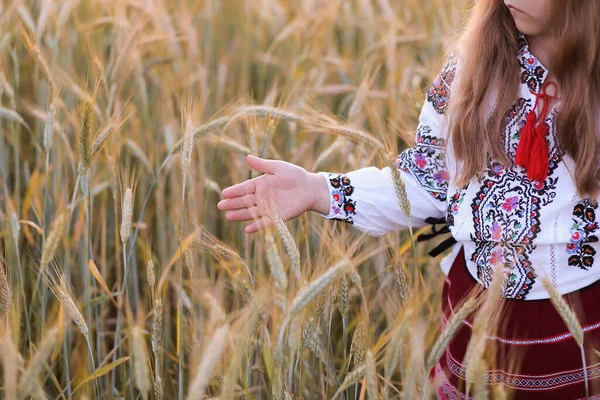 Uma Menina Ucraniana Cabelos Longos Traje Nacional Vyshyvanka Está Segurando — Fotografia de Stock