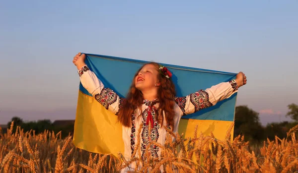 一个穿着绣花衬衫的漂亮长发姑娘手里拿着一面蓝色黄色的乌克兰国旗 她的头发上还绣着罂粟 乌克兰独立日 宪法日 国旗日 — 图库照片