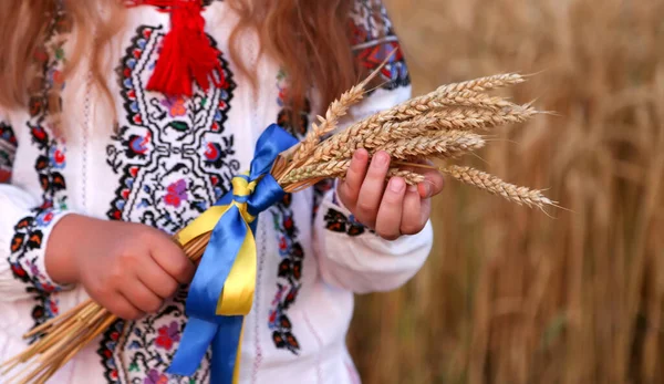 수놓은 소녀의 손에는 노랗고 이놓여져 옥수수에 집중하 독립기념일 — 스톡 사진