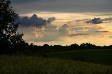 Doğal Günbatımı Saha ya da Meadow 'da. Parlak Dramatik Gökyüzü ve Karanlık Yer. Sunset Dawn Sunrise 'da Renkli Gökyüzü Altında Kırsal Manzara. Sun Over Skyline, Horizon. Sıcak Renkler.