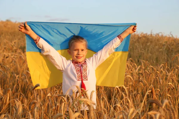 Joyeux Garçon Ukrainien Porte Flottant Drapeau Bleu Jaune Ukraine Sur — Photo