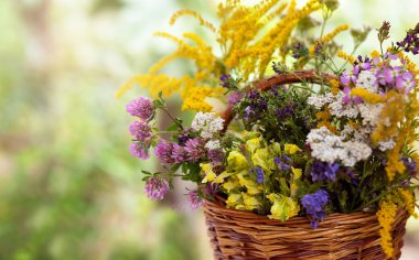 Ahşap bir masada otlar. Seçici odak