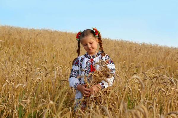 Enfant Dans Champ Blé Dans Vyshyvanka Concept Fête Indépendance Ukraine — Photo