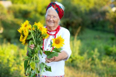 İşlemeli gömlek ve kırmızı boncuklar içinde yaşlı bir büyükannenin elindeki ayçiçeğine odaklan. Zafer jestini gösterir Ukrayna 'nın Bağımsızlık Günü, Anayasa, Bayrak