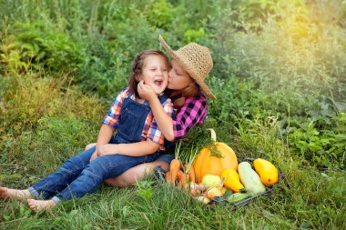 Mutlu çiftçi çocuklar kendi bahçesinden hasatla birlikte kutunun yanında oturuyorlar. Mevsimlik sonbahar ve yaz işleri. Biyolojik yemek. 