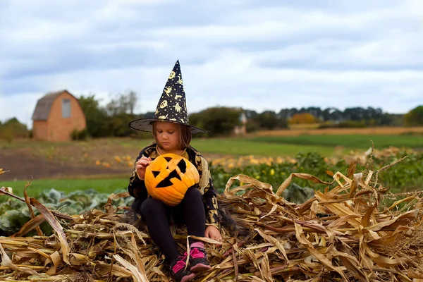 Malá Holčička Kostýmu Čarodějnice Podzimním Parku Děti Baví Halloween Koledu — Stock fotografie