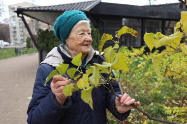 Yaşlı bir bayan bir sonbahar günü parkta yürür, doğanın tadını çıkarır, telefonda konuşur.